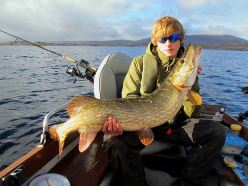 Irish Pike 490.jpg